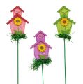 Floristik24 Flower plug with house colored 12pcs