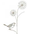 Floristik24 Flower plug metal deco allium bird white 20×52cm