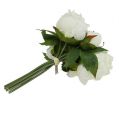 Floristik24 Bouquet of peonies white L30cm
