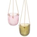 Floristik24 Glass flower pot/hanging lantern, purple/green, 14cm, 2 pieces