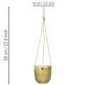 Glass flower pot/hanging lantern, purple/green, 14cm, 2 pieces | Floristik24.ie