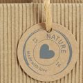 Paper Flowerpot Ribbed with Foil 12x12cm 8 pcs | Floristik24.ie