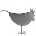 Flower pot chicken metal bird zinc metal decoration 51×16×37cm