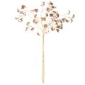 Bean Blossom Branch Metallic