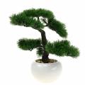 Floristik24 Bonsai tree in ceramic pot Japanese pine artificial H36cm