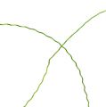 Floristik24 Bouillon effect wire Ø0.30mm 100g 140m apple green