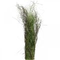 Floristik24 Decorative grass bush with branches Dried grass tuft 65×12cm