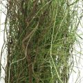 Floristik24 Decorative grass bush with branches Dried grass tuft 65×12cm