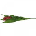 Floristik24 Bromeliad artificial Pink Artificial flower to stick 54cm