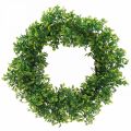 Floristik24 Boxwood wreath artificial deco wreath green Ø41cm