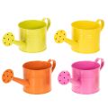 Floristik24 Colorful decorative watering can, Ø11cm, H9.5cm, for planting, spring table decoration, metal, set of 8