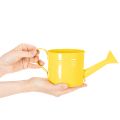 Colorful decorative watering can, Ø11cm, H9.5cm, for planting, spring table decoration, metal, set of 8 | Floristik24.ie