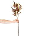 Artificial coleus with red leaves, artificial plant, 20cm | Floristik24.ie