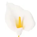 Artificial Calla Lily with yellow stamen, decorative blossoms, 35cm, 10 pieces | Floristik24.ie
