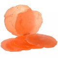 Floristik24 Capiz Shells Capiz Discs Mother of Pearl Discs Orange 7.5–9.5cm 300g