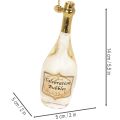 Champagne bottle and champagne glass pendant set, Christmas tree decoration, 14cm, 2 pieces | Floristik24.ie