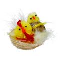 Floristik24 Chenille chicks in the nest yellow 5cm 4pcs
