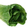 Floristik24 Chinese cabbage artificial real touch 24cm