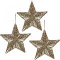 Floristik24 Christmas tree decorations, Advent decorations, star pendant Golden B20.5cm 6pcs