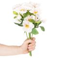 Artificial Christmas rose bunch, Christmas bouquet, 35cm, 6 pieces | Floristik24.ie
