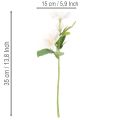Artificial Christmas rose bunch, Christmas bouquet, 35cm, 6 pieces | Floristik24.ie