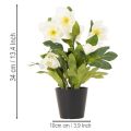 Artificial Christmas rose, potted plant, table decoration, 34cm | Floristik24.ie