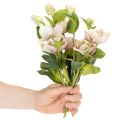 Christmas rose artificial flower decoration, 30cm bunch of 4 pieces | Floristik24.ie