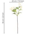 Artificial chrysanthemum flower, creamy white bunch, decorative branch, large 56cm, 4 pieces | Floristik24.ie