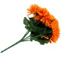 Floristik24 Chrysanthemum orange with 7 flowers