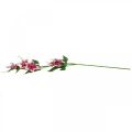 Floristik24 Clematis branch with 5 flowers, artificial flower, decorative branch pink, white L84cm