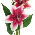 Floristik24 Clematis branch with 5 flowers, artificial flower, decorative branch pink, white L84cm