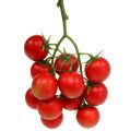 Floristik24 Cocktail tomatoes panicle red 21cm