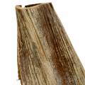 Coconut palm leaf Galara curved | Floristik24.ie