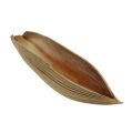 Floristik24 Coconut bowl palm leaf 60-80cm nature