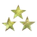 Floristik24 Scatter decoration Christmas stars coconut green Ø5cm 50pcs
