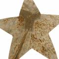 Floristik24 Coconut star natural 10cm 20pcs Christmas decoration silver wooden stars