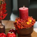 Craspedia dried flower bouquet 55cm 20pcs | Floristik24.ie