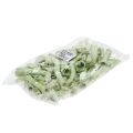 Floristik24 Cupy Roots, Pepe Cone Light Green, White Washed 350g
