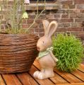Floristik24 Easter bunny with scarf brown, green 26cm 2pcs