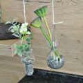 Floristik24 Mini glass vases for hanging bracket bulbous H11/11.5cm set of 2