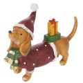 Floristik24 Decorative dachshund figurine with gift package and hat, 18cm