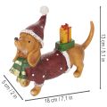 Decorative dachshund figurine with gift package and hat, 18cm | Floristik24.ie