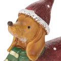 Decorative dachshund figurine with gift package and hat, 18cm | Floristik24.ie