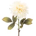 Floristik24 Artificial Dahlia Flower for Vase 68cm