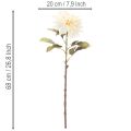 Artificial Dahlia Flower for Vase 68cm | Floristik24.ie