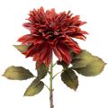 Floristik24 Artificial dahlia flower with long stem, 68cm