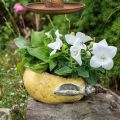 Floristik24 Decorative pear, ceramic for decorating, autumn, plant pot L25cm H11cm