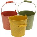 Floristik24 Decorative bucket of fruits washed yellow, orange, green Ø15cm H14cm set of 3
