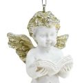 Floristik24 Decorative angel for hanging 6.5cm white