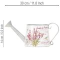 Decorative metal watering can, lavender, retro garden design, 30×11×14.5cm | Floristik24.ie